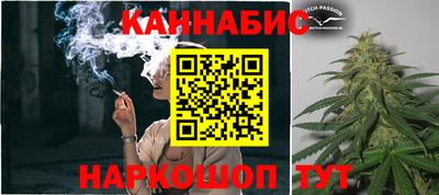СК Волгодонск