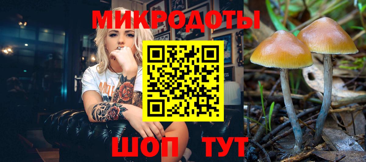 Псилоцибиновые грибы ЛСД  Вход с VPN  Карасук 