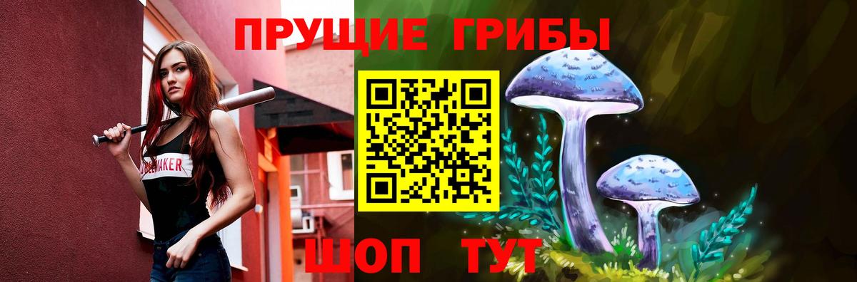 Галлюциногенные грибы прущие грибы Карасук
